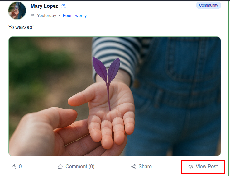 Feed post with the View Post button highlighted